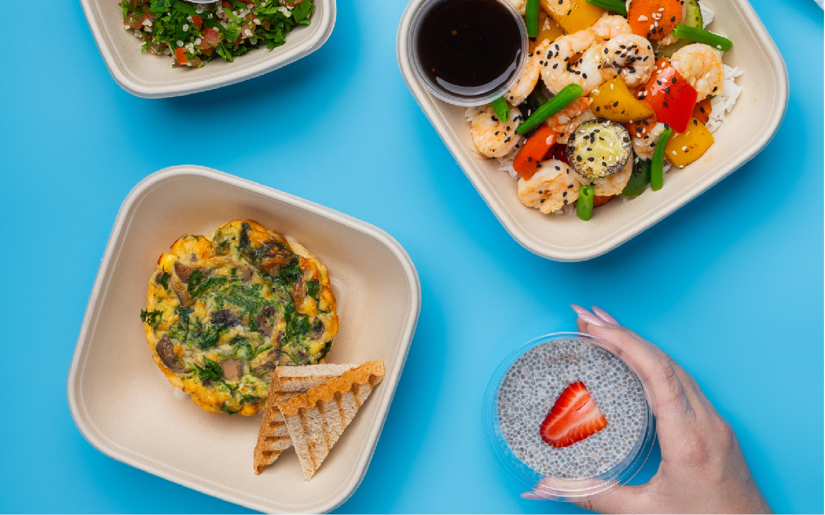 Customized Meal Plans